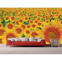 fotomural vinilo campo de girasoles 2 600 x 300 cm