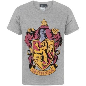 Harry Potter Camiseta NS4800 para niño
