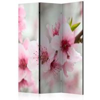 biombo - spring blooming tree - pink flowers 135x172 cm