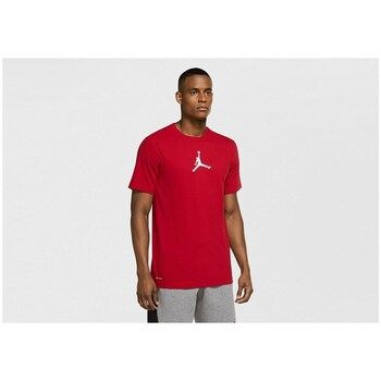 Nike Camiseta Air Jordan Dri-fit Air Graphic para hombre