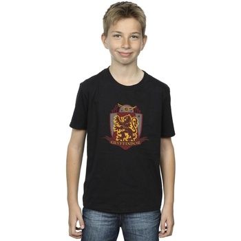 Harry Potter Tops y Camisetas Gryffindor para niño