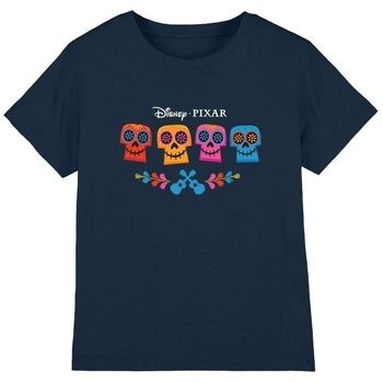 Coco Tops y Camisetas TV3345 para niño