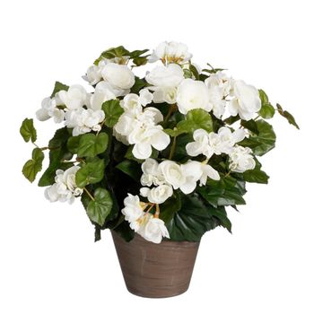 Planta artificial begonia blanco  h37xb36xl36cm