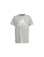 camiseta adidas big logo 2 infantil gris