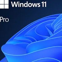 microsoft windows 11 pro 1 licencias