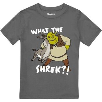 Shrek Camiseta manga larga Best Buds para niño