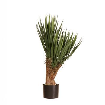 Yuca Premium Artificial 80cm – Naturing Monde
