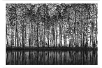 Póster naturaleza puntillismo sin marco 60x40cm