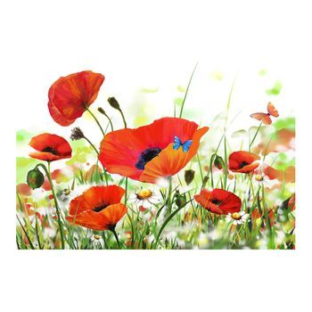 Papel Pintado 3d - Country Poppies (400x270 Cm)