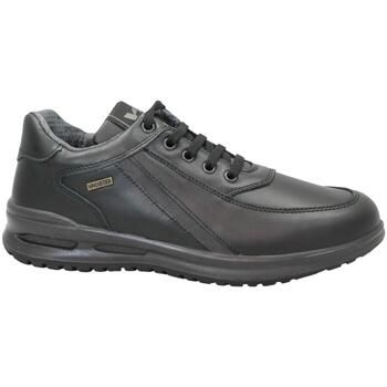 Valleverde Zapatos Hombre VAL-I26-VL53826P-NE para hombre