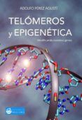 telomeros y epigenetica: modificando nuestros genes