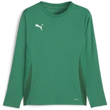 Puma Camiseta manga larga Teamgoal para hombre