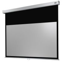 celexon professional plus pantalla de proyeccion manual mural 300x187cm