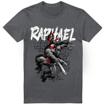 Teenage Mutant Ninja Turtles Camiseta TV6534 para hombre
