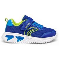 geox deportivas moda assister para nino