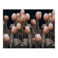 papel pintado 3d - ladies among the flowers 350x270 cm