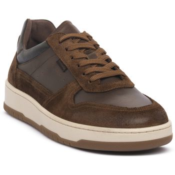 NeroGiardini Zapatillas NERO GIARDINI 339 VELOUR MALTO para hombre