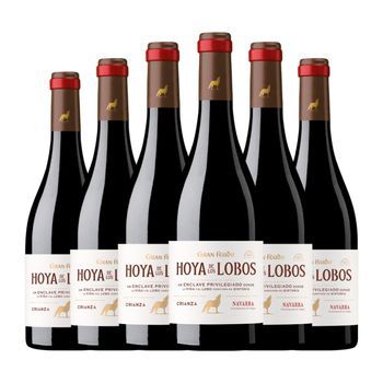 Gran Feudo Vino Tinto Hoya De Los Lobos Navarra Crianza 75 Cl 14% Vol. (pack De 6 Unidades)