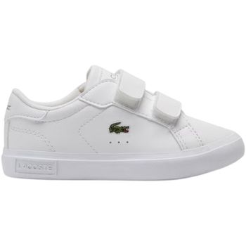 Lacoste Zapatillas Powercourt para niño