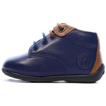 Aster Botines Olbi para niño