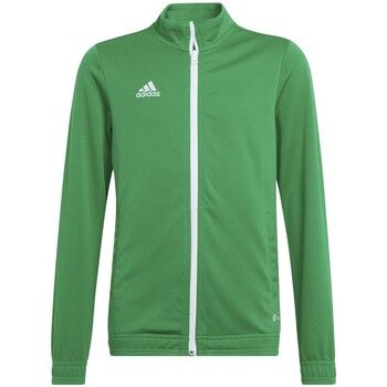 adidas Chaqueta Entrada 22 para niño