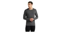 icebreaker 260 tech long sleeve jersey grey