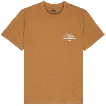 Quiksilver Camiseta CAMISETA BLISS POINT HOMBRE para hombre