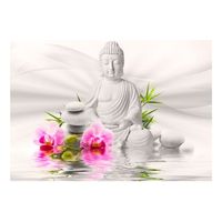 papel pintado 3d - buda y orquideas 400x280 cm