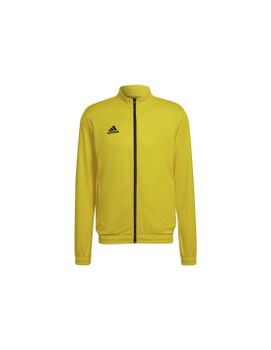 Chaqueta de fútbol adidas Entrada 22 Hombre Amarillo