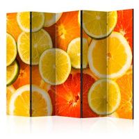 biombo - citrus fruits ii 225x172 cm