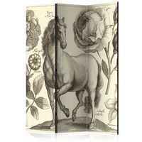 biombo - horse 135x172 cm
