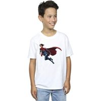 dc comics tops y camisetas bi39244 para nino
