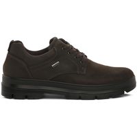imac deportivas moda ebert marrone para hombre