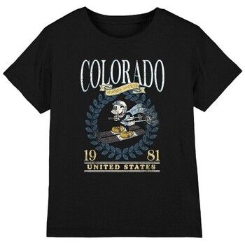 Disney Tops y Camisetas Colorado Ski para niño