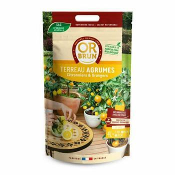 Compost Para Macetas Premium Para Plantas Exitosas