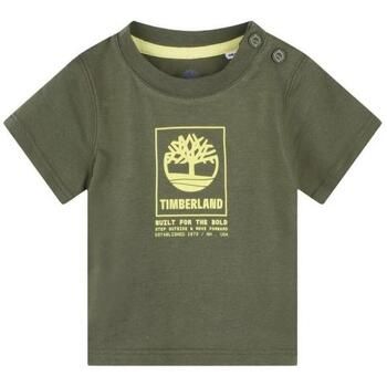 Timberland Camiseta T60100/724 para niño