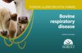 essential guides on cattle farming bovine respiratory disease