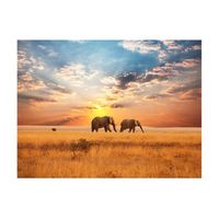 papel pintado 3d - elefantes africanos en sabana 400x309 cm