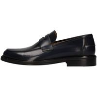 fedeni mocasines 312 para hombre