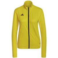 adidas chaqueta entrada 22 para mujer