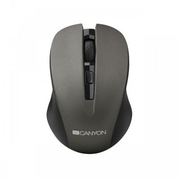 Canyon CNE-CMSW1G Ratón Inalámbrico 1200 DPI Gris