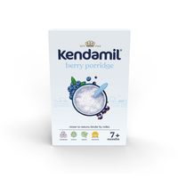 kendamil berry porridge
