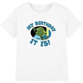 Disney Tops y Camisetas My Birthday It Is para niña