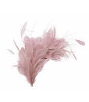 montaje de plumas 35 x 12 cm