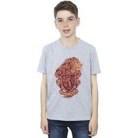 harry potter tops y camisetas gryffindor para nino