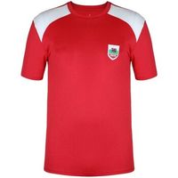 fifa camiseta gt28993 para hombre