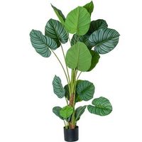 planta artificial calathea verde