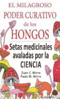 el milagroso poder curativo de los hongos setas medicinales avaladas