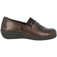 doctor cutillas bailarinas 43517 marron para mujer