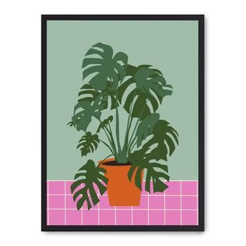 Cuadro Plant Plot Vi